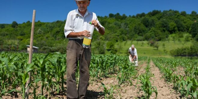 Projeto isenta trabalhador rural de multa para aderir ao Regime Geral de Previdência Social 